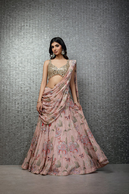 Blush Pink Butterfly Lehenga