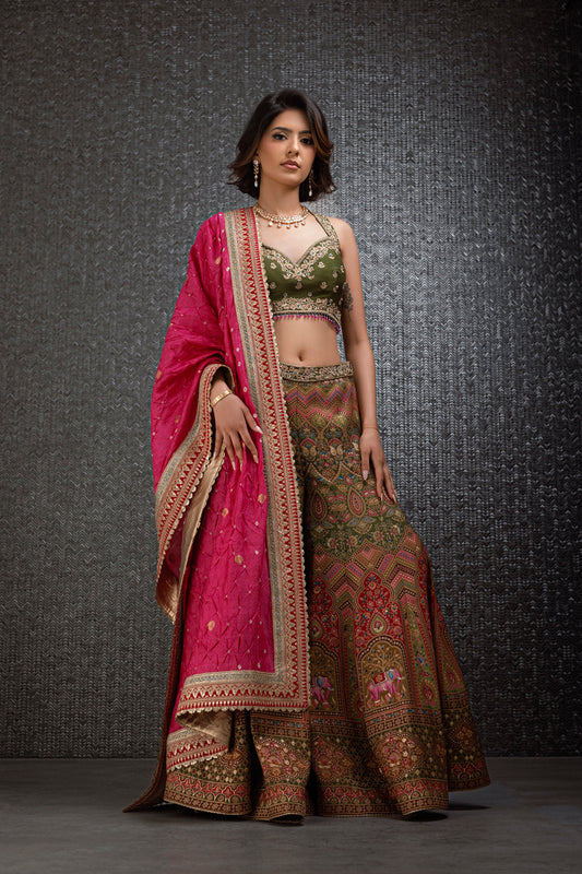 Olive Green And Fuchsia Pink Sharara