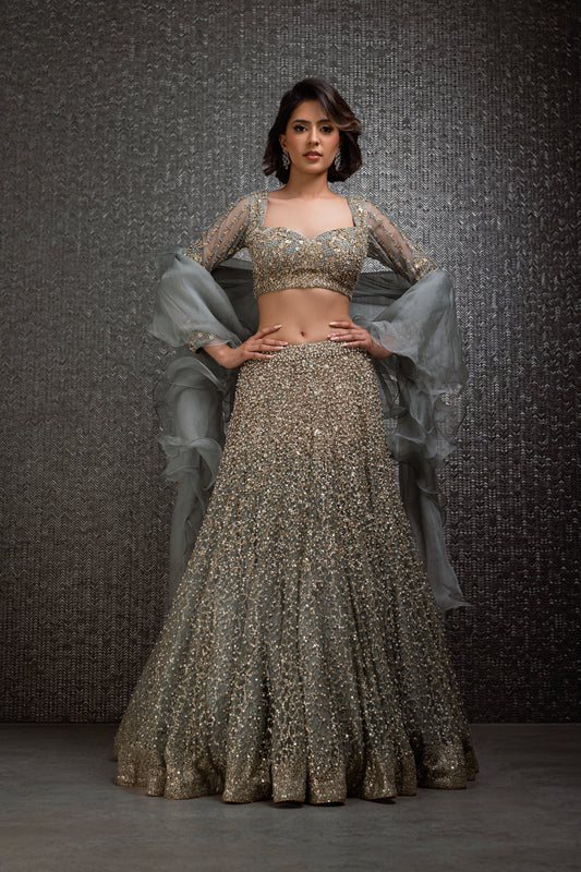 Minty Grey Lehenga with Sequin And Pearl Work
