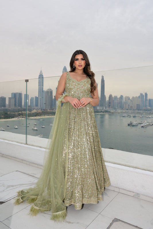 Mint Green Sequin Georgette Gown